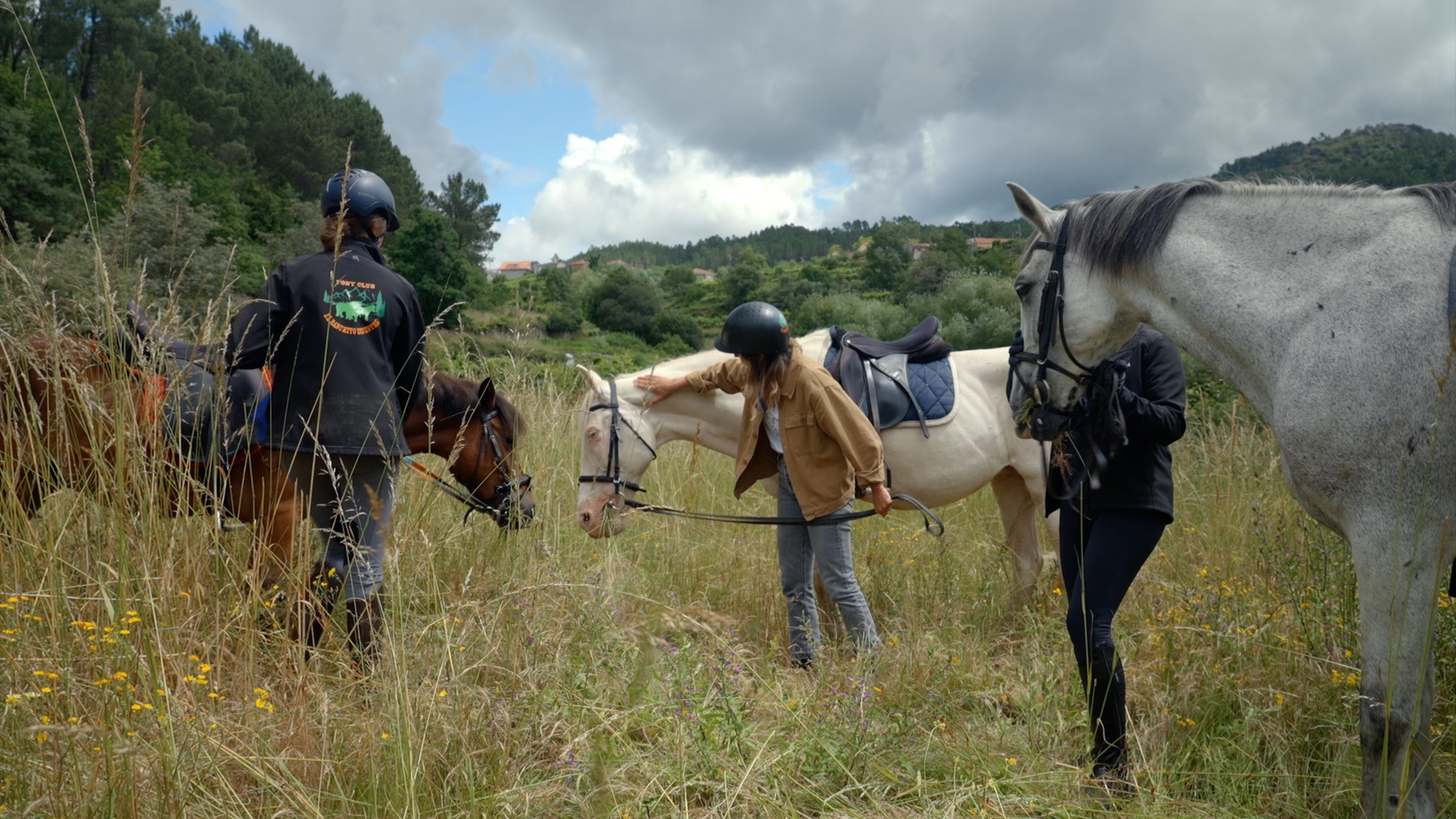 REDUCETUHUELLA_38_T4_2023_CABALLOS 